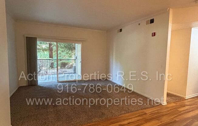 2 beds, 2 baths, $2,000, Unit # 1516