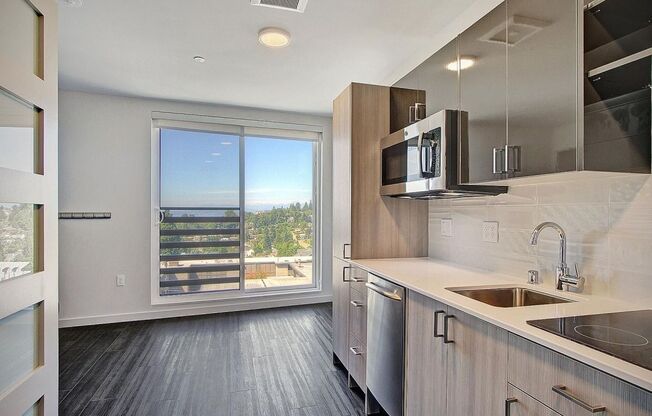 Studio, 1 bath, 235 sqft, $1,042, Unit 203