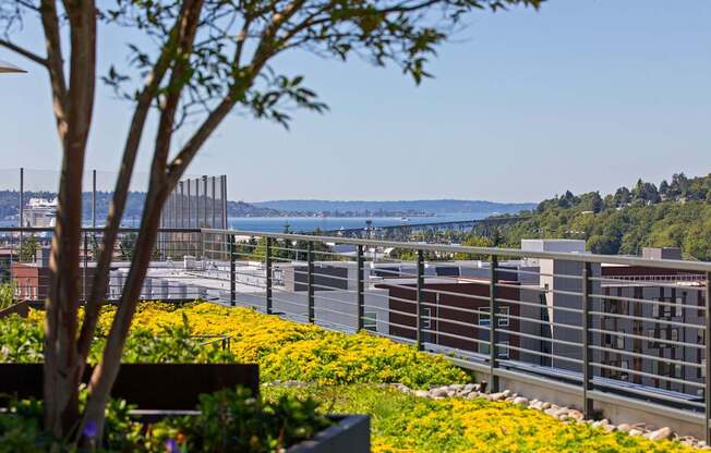 A tree with a bench in front of a metal fence with a view of a bridge and buildings in the background.