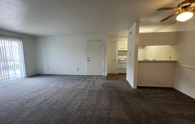 1 bed, 1 bath, 660 sqft, $1,000, Unit 206