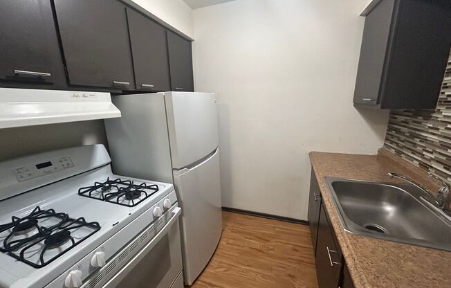 Studio, 1 bath, $875, Unit 206