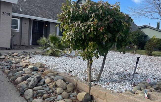 Newly Remodeled 5 Bedroom 3 Bath Home in Citrus Heights