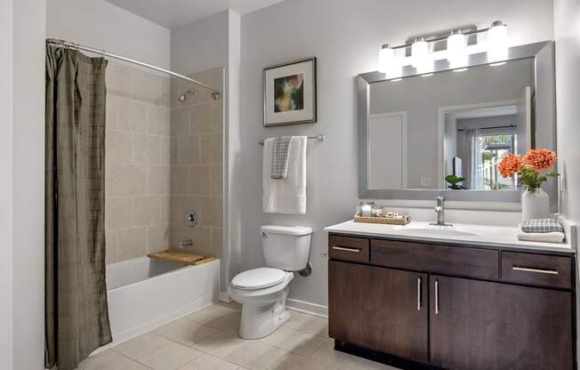 Updated Bathroom at Avant at the Arboretum Apartments in Lisle, IL 60532