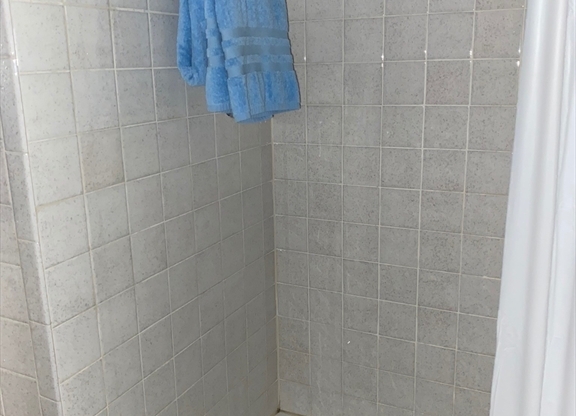 1 bed, 1 bath, 590 sqft, $3,500, Unit 17J