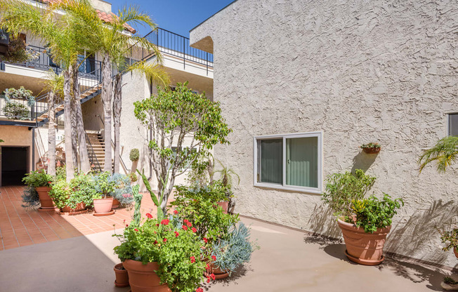 a patio with potted plants in front of a building