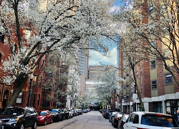 Studio, 1 bath, 365 sqft, $2,490, Unit 203