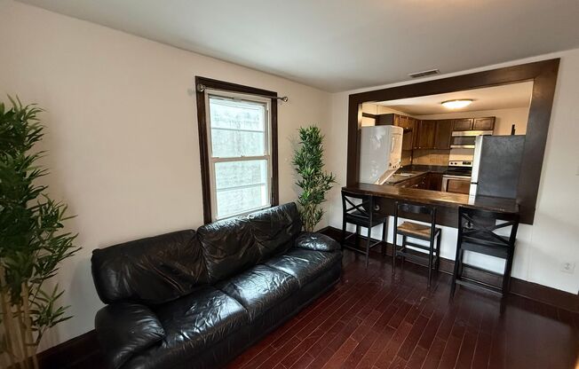 Newly Renovated Temple Apartment