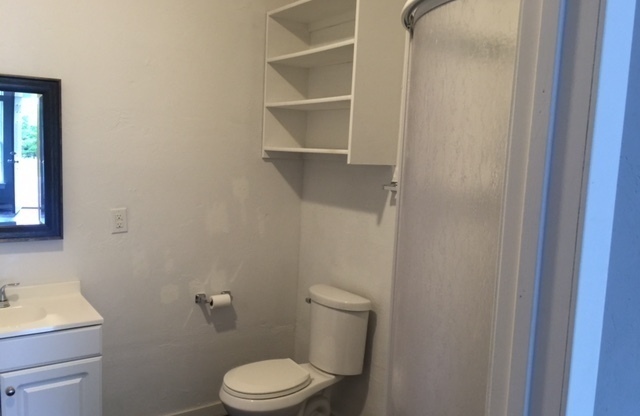 1 bed, 1 bath, $950