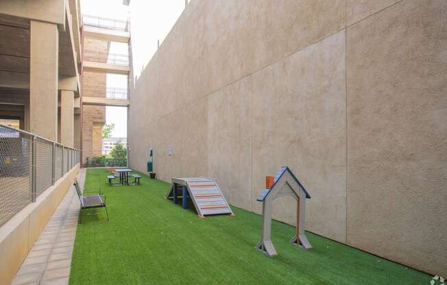 Photo of the dog park