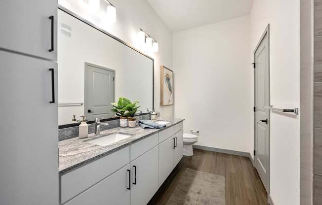 A bathroom with a sink, toilet, and a mirror.