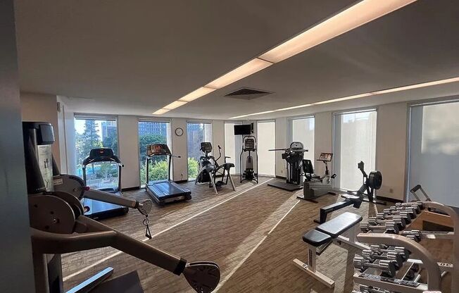 Studio, 1 bath, 481 sqft, $2,200, Unit 1409