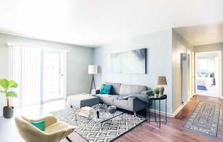 A living room with a grey couch and a black and white rug.