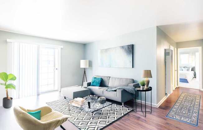 A living room with a grey couch and a black and white rug.