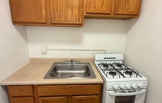 Studio, 1 bath, 487 sqft, $1,250, Unit Fifth 306