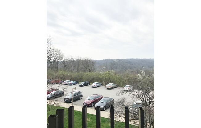 1 bed, 1 bath, 750 sqft, $995, Unit 1600-316