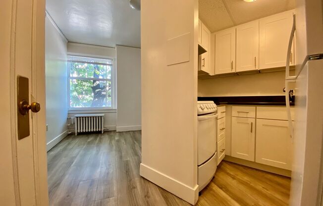 1 bed, 1 bath, 335 sqft, $1,350, Unit 207