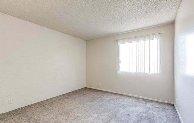 A room with a window and carpeted floor.
