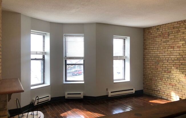 NEWLY RENOVATED APARTMENT IN HISTORIC ELLIOT PARK