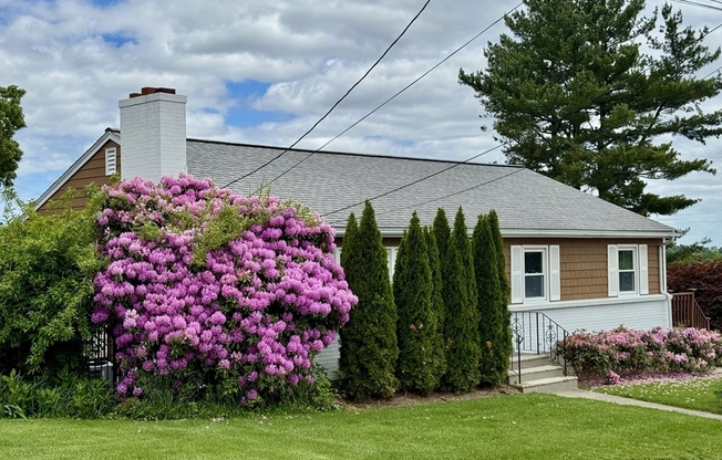 21 SHAWMUT RD