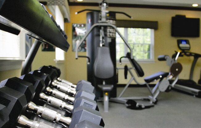 free weights in the gym at Town & Country Luxury Apartments, Hampton Bays, NY