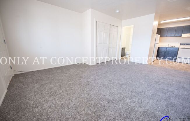 Studio, 1 bath, 360 sqft, $710, Unit 275