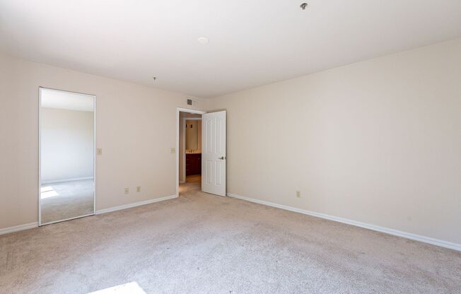 1 bed, 1 bath, $1,600, Unit #337