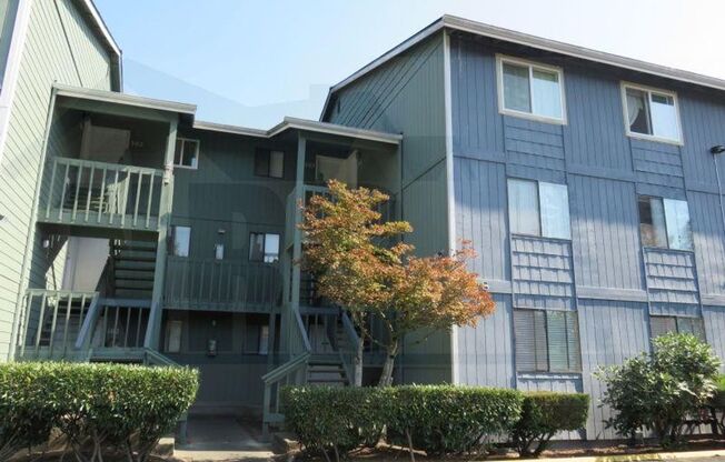 1 bed, 1 bath, $1,550, Unit UNIT S303