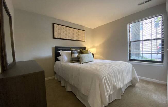 Bedroom with lots of natural lighting