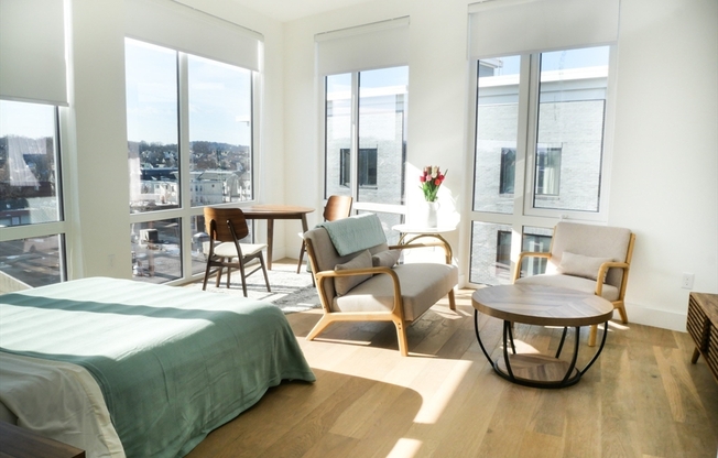 Studio, 1 bath, 450 sqft, $3,000, Unit 201