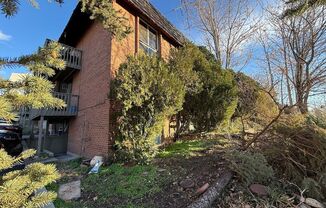 Sunset View Apartments