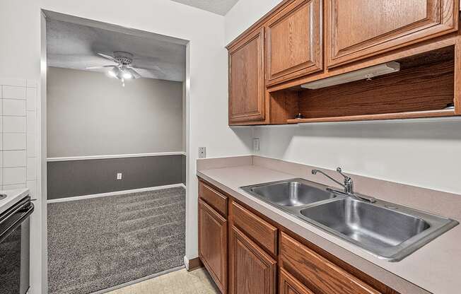 Double Bowl kitchen Sink in apartment