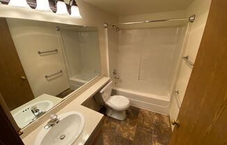 Studio, 1 bath, 413 sqft, $1,295, Unit 316