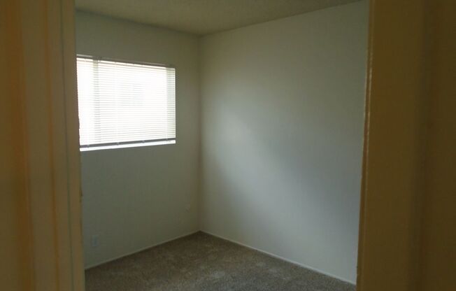 PALM ST 2231 A-L