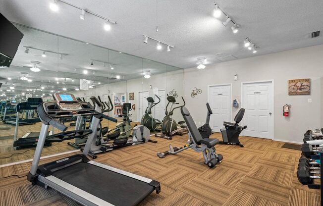 A gym with treadmills, exercise bikes, and other equipment.