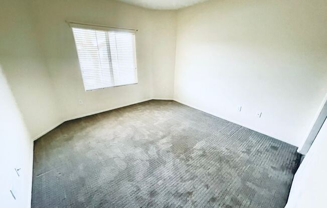 7740 Fruit Dove St