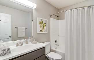 a bathroom with a shower and a sink and a toilet at Serene at Creekstone, Georgia