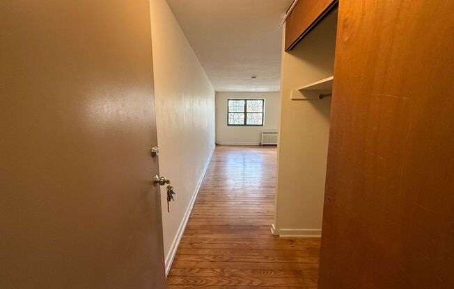 Studio, 1 bath, 487 sqft, $1,250, Unit Fifth 102