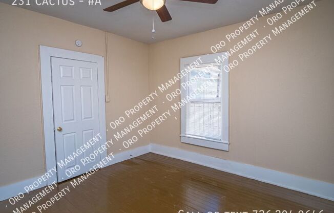 231 Cactus B
