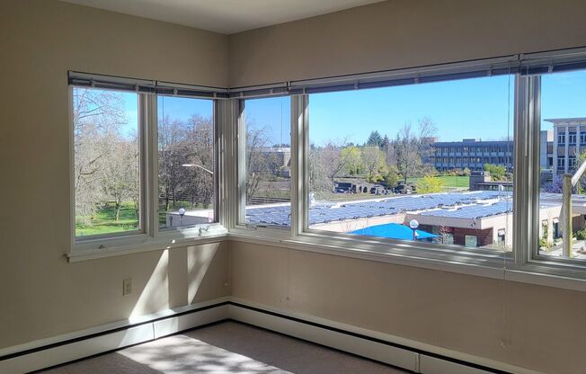 1 bed, 1 bath, 518 sqft, $1,375, Unit 306