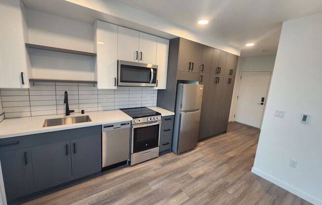 Studio, 1 bath, 300 sqft, $1,495, Unit 802
