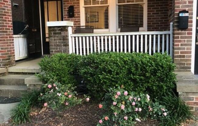 2 bedroom / 1 bath ~ Downtown Charleston