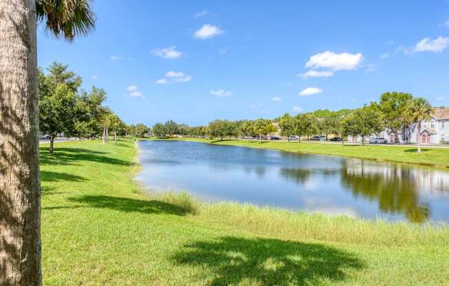a pond in a park with trees on the other side of it