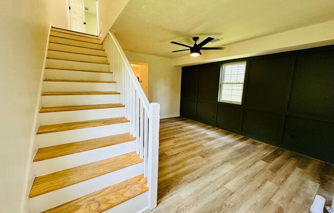 Completely renovated 3BR house in Shelby Park!
