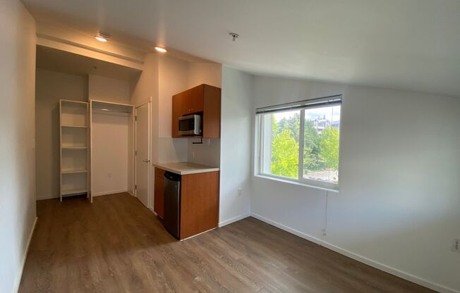 Studio, 1 bath, 170 sqft, $1,295, Unit 3510