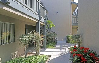 Vista Point Apartments