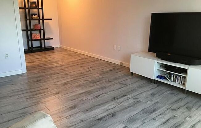 Beautiful, Bright and Spacious Condo near Downtown!