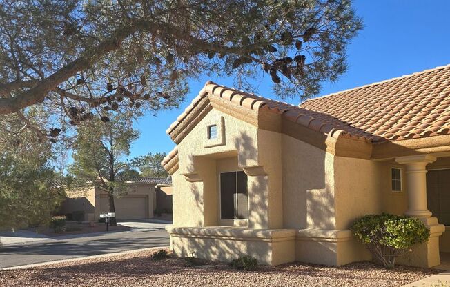 Sun City Summerlin - Golf Course Community - Age Restricted