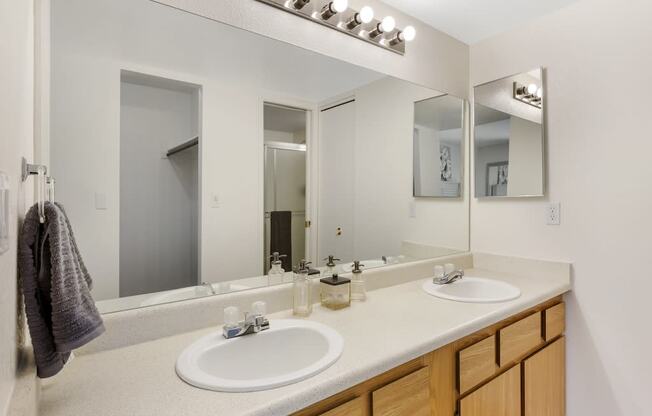 Bathroom with Attached Closet at Aztec Springs