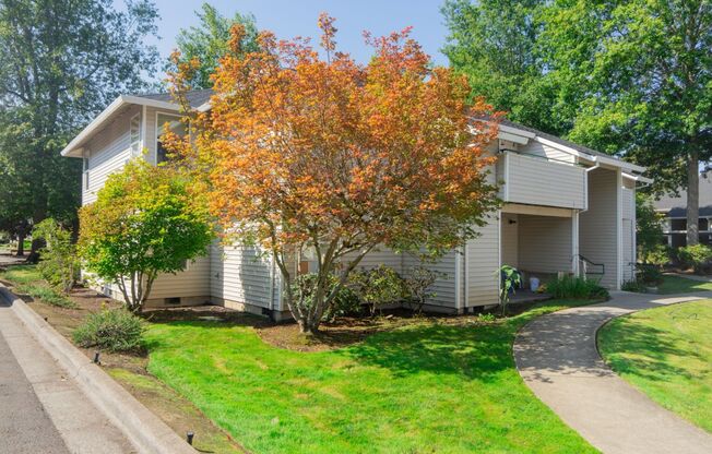 Newly Renovated Apartment Home in a Great Location