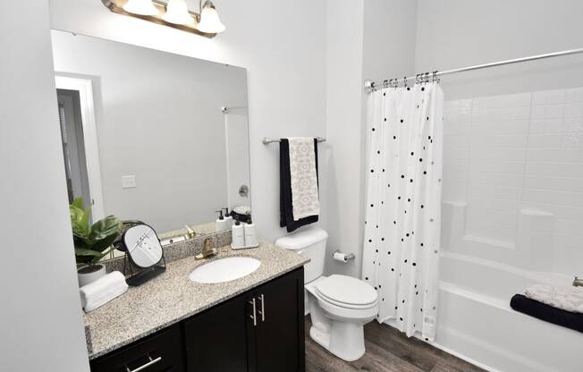 a bathroom with a shower toilet and sink and a mirror